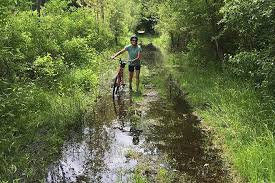 Maybe you would like to learn more about one of these? Van Buren Trail State Park Michigan Trails Traillink