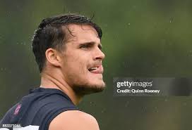 136 Victoria Harley Quinn Photos & High Res Pictures