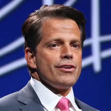 Anthony Formica (@AnthonyFormic13)