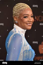 Tiffany scott hi-res stock photography and images