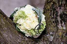 Brautstrauss Rosen Hortensien Bildergalerie Hochzeitsportal24 Brautstrauss Rosen Hortensien Brautstrauss Rosen Brautstrauss
