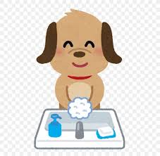 Also, find more png clipart about wash clip art,paint clipart,sun clip arts. Hand Washing Soap æ¶ˆæ¯' æ´—è„¸ Png 554x800px Hand Washing Carnivoran Cartoon Cream Dog Like Mammal Download