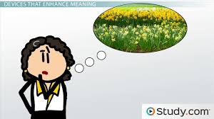 We provides meaning in hindi of various simple and complex words used in english language and synonyms,antonyms with examples etc. Poetic Devices Definition Types Examples Video Lesson Transcript Study Com