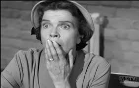 Mrs. Rayburn's roles in classic TV shows