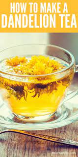 Here S How To Make Dandelion Tea Fresh Dandelion Tea Can You Use Dandelions For Tea Dandelion Tea R Dandelion Recipes Dandelion Tea Dandelion Tea Recipe