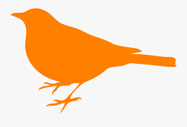Download Orange Bird Clipart Png