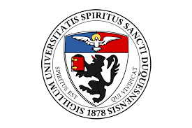 Duquesne university of the holy spirit (/ d uː ˈ k eɪ n / or / dj uː ˈ k eɪ n /) (duquesne university or duquesne) is a private catholic research university in pittsburgh, pennsylvania,.founded by members of the congregation of the holy spirit, duquesne first opened as the pittsburgh catholic college of the holy ghost in october 1878 with an enrollment of 40 students and a faculty of six. Duquesne University Remake Learning