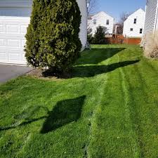 We did not find results for: Sanford Fl Lawn Care Service Lawn Mowing From 19 Lawnstarter