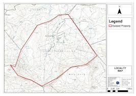 Image result for Aspidoglossum hirundo