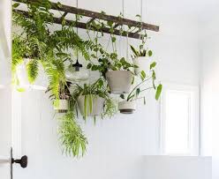 Maybe you would like to learn more about one of these? Ideas Para Decorar Con Plantas Colgantes Decor Tips