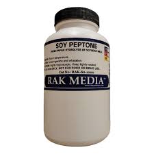 Image result for Peponium