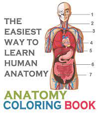 Download Amazon Com The Easiest Way To Learn Human Anatomy Anatomy Coloring Book An Entertaining And Instructive Guide To The Human Body A Coloring Activity Medical Book For Teens And Adult 9798649055161
