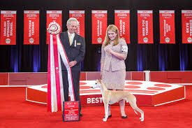 Is it nit or not?. Akc National Championship Presented By Royal Canin American Kennel Club