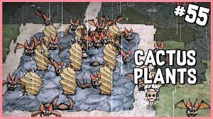 Don't starve shipwrecked s7e17 ► the spider/monkey/bee/butterfly farm part 1 ◀. Cactus Plants Are Very Effective Don T Starve Hamlet Gameplay Part 55 Youtube
