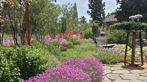 Maybe you would like to learn more about one of these? Waterwise Landscaping City Of Bend