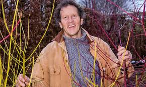 'midwinter fire' is for its colorful stems. Dogwood Isn T Just Super Easy To Care For Says Monty Don Daily Mail Online