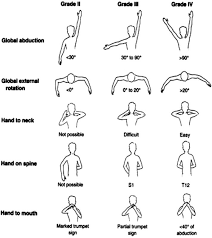 Image result for Shoulder Range of Motion Exercises