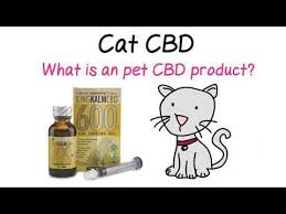 We help by explaining all the different types and variations. Cat Cbd Siamese Of Day
