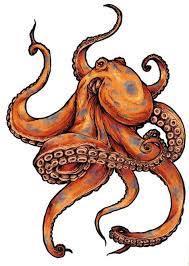 55 Eye Catching Octopus Tattoos Ideas For Men And Women Octopus Tattoo Design Octopus Tattoos Octopus Tattoo