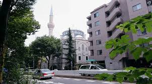 Eating shark meat may expose you to potentially dangerous, high levels of the metal mercury. Basics For Muslim Travelers In Japan Halal Food In Japan