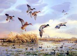 james killen fish pond mallards avcilik hayvanlar painting