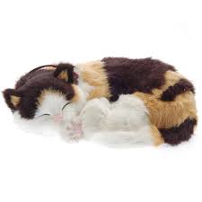 Say goodbye to feedings and vet bills. Calico Cat Bundle Perfect Petzzz Australia