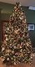 Real Perfect Christmas Tree
