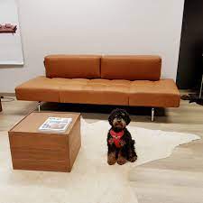 Jerry Liege Von Bruhl By Sofastudio Mannheim Bruhl Sofa Ledersofa Ecksofas