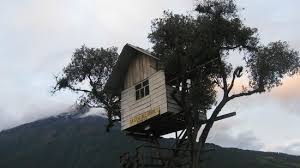 La casa del arbol vol 2, released 01 december 2011 1. La Casa Del Arbol Banos 2020 All You Need To Know Before You Go With Photos Tripadvisor