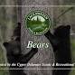 Parks & Recreation "Bears" Program — Lackawaxen