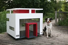Hunde lieben es, eine aufgabe zu haben, auch wenn diese noch wie halten sie ihren hund im haus? Hunde Haus