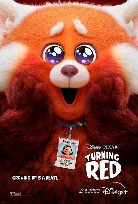 Turning Red Review: Perfectly Captures How Horrid Being Thirteen Is