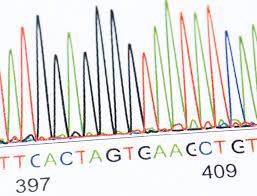 Genetic modification (gm) takes place when selected genes are taken from one organism and genetic modification, genetic engineering, manipulation, editing, splicing, biotechnology and. What Are Gm Crops And How Is It Done Royal Society