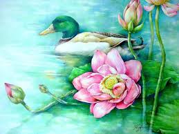 Lotus Flowers And A Duck Origianal Colored Pencil Drawing Beautiful Flower Drawings Flower Drawing Flower Drawing Tutorials