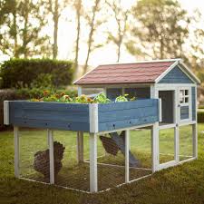 Advantek Rooftop Garden Chicken Coop 2 3 Hens Walk In Chicken Coop Portable Chicken Coop Chickens Backyard