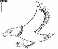 Eagle head vector png adler bilder zum ausmalen cliparts. Ausmalbilder Adler Zum Ausdrucken