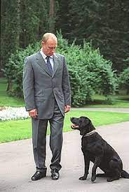 In 2019, berdymukhamedov also handed an alabai puppy to then russian prime. Pets Of Vladimir Putin Wikipedia