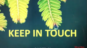 Keep In Touch Quote 64 English Quotes In Tamil Learn English Through Quotes With Tamil Meaning Youtube