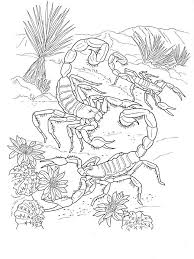 All rights belong to their respective owners. Desert Coloring Pages Download And Print Desert Coloring Pages