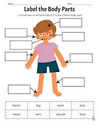 Continue the image and draw the other eye, eyebrow, finish the mouth and draw the rest of the girl's head. Label The Body Parts Worksheet Education Com