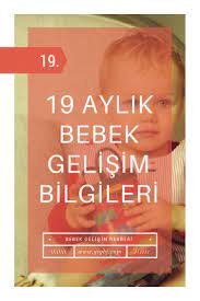 ay ay bebek gelisimi bilgileri 19 aylik bebek gelisimi bebek gelisi bebek bebek basi