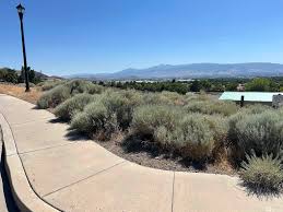 2267 Ticino Ct #3, Sparks, NV 89434