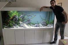 Ornek Bitkili Akvaryum Fotograflari Aquascaping Akvaryum Baligi Akvaryum