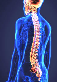 Maybe you would like to learn more about one of these? Network Care Abundant Life Chiropractic