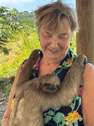 Seized today being trafficked from mainland Honduras to Roatán. The monkey  and sloths in Roatán are a product of the black market pet trade. Not  Rescues as they claim. Do Not go