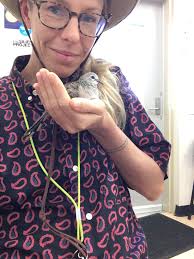 What does a dream about a bird mean?