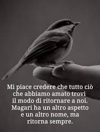 Papa Frasi Citazioni Sagge Citazioni Motivazionali Citazioni