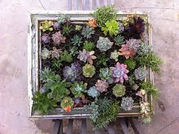 It's a fun diy that will put you on the edge of a. Cool Diy Green Living Wall Projects For Your Home