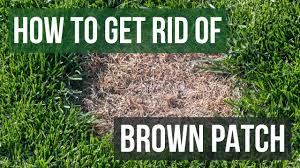 A selective herbicide kills specific weeds and can get rid of dandelions or crabgrass without damaging the lawn, but if you used a nonselective herbicide, you have some lawn. How To Get Rid Of Brown Patch Youtube