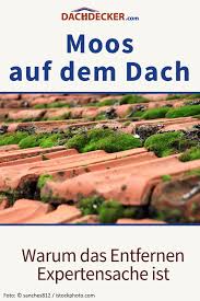 Moos Auf Dem Dach Warum Dies Normal Ist Warum Sie Keinen Hochdruckreiniger Verwenden Sollten Warum Das Entfernen Expertensache I Dach Moos Entfernen Moos